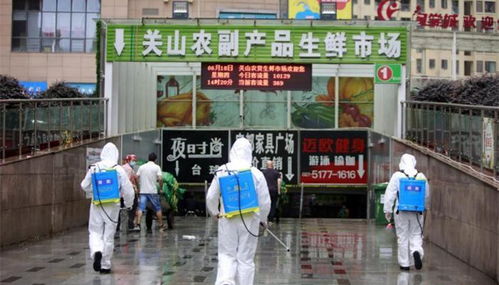 冷冻食品产业在福建的崛起与两岸合作新机遇